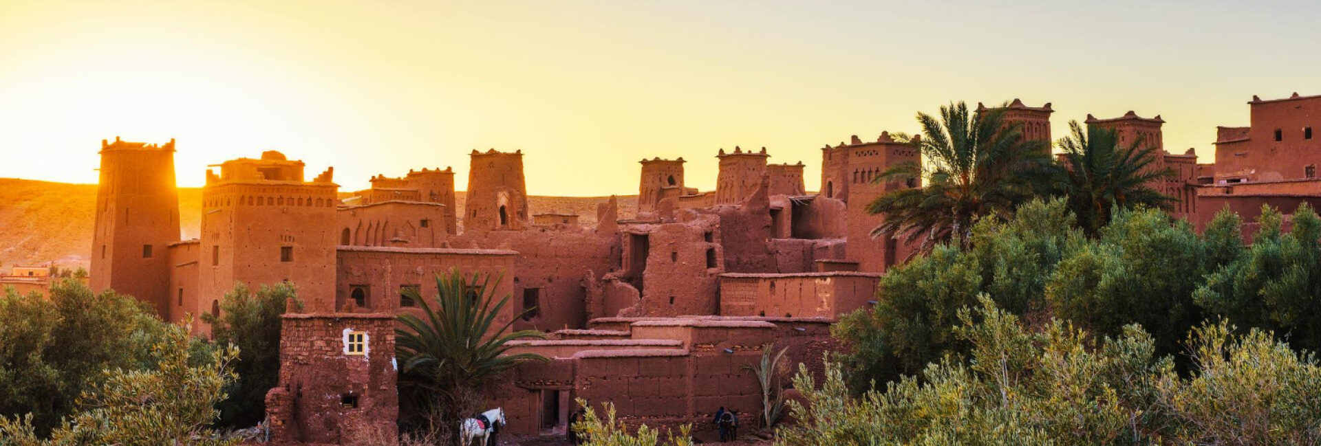 Balade à Marrakech à vélo : Pourquoi ? Comment et où ?